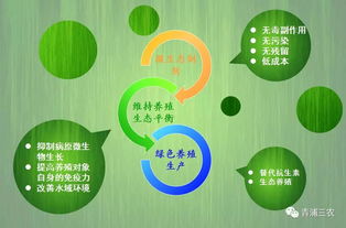 上海市青浦区农业农村委员会 技术推广助力乡村振兴