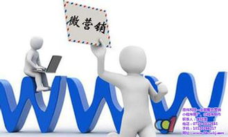 网络推广与互联网销售 政伟科技的专业解读