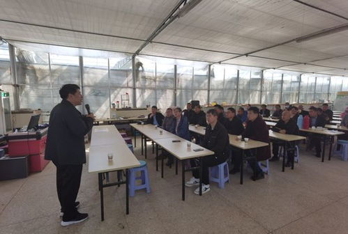 科技创新赋能芹菜产业 自动化种植与互联网销售双轮驱动